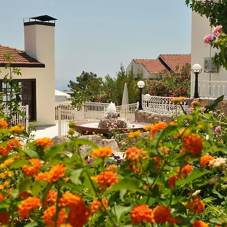 Отель Nicholas Park