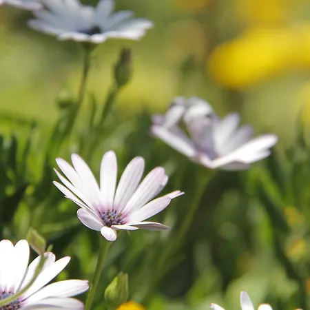 Otel Nicholas Park Ölüdeniz