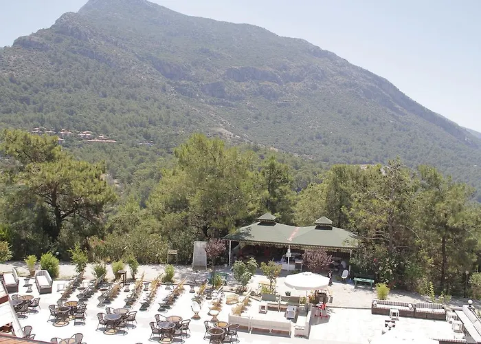 Hotel Nicholas Park 4*